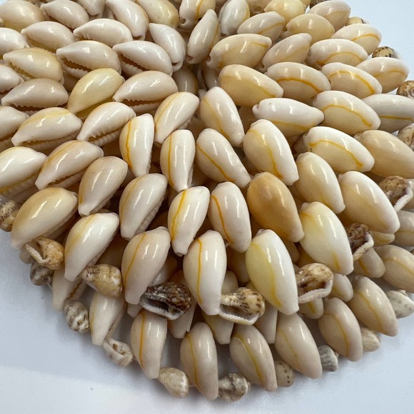 Vintage Cowrie Sea Shell Coasters 2 Piece Set Beach Decor Boho Cottage Core - Picture 8 of 8